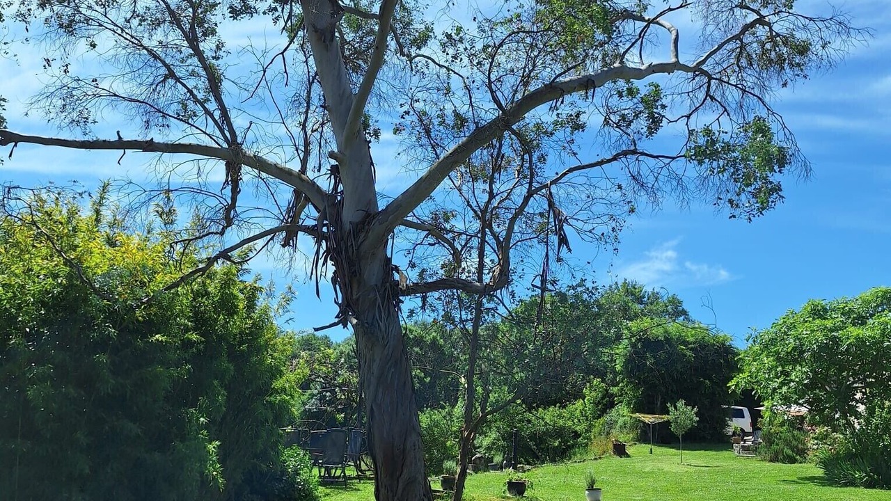 Photo of Outdoor in La Sauvetat-du-Dropt