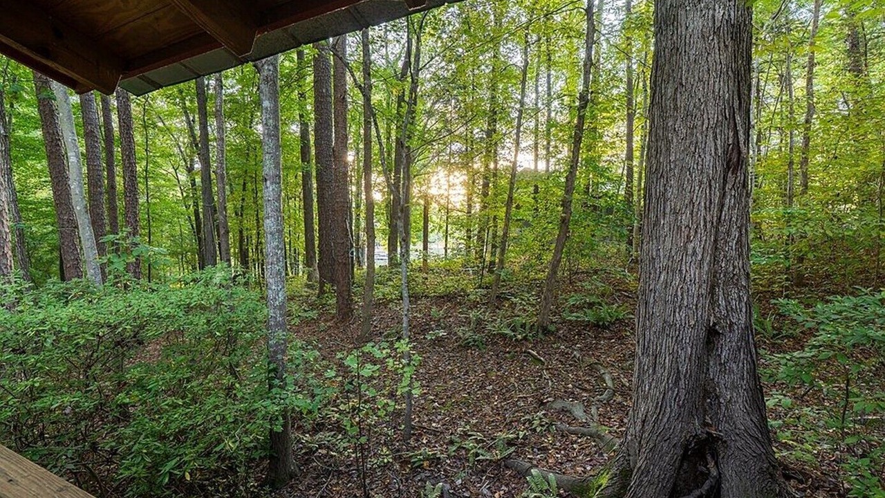 Photo of Outdoor in Clarksville
