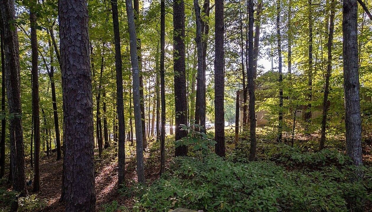Photo of Outdoor in Clarksville