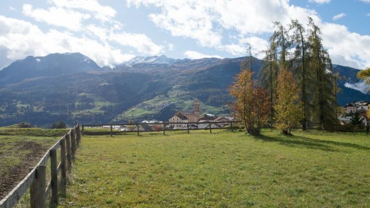Photo of Others in Lenz