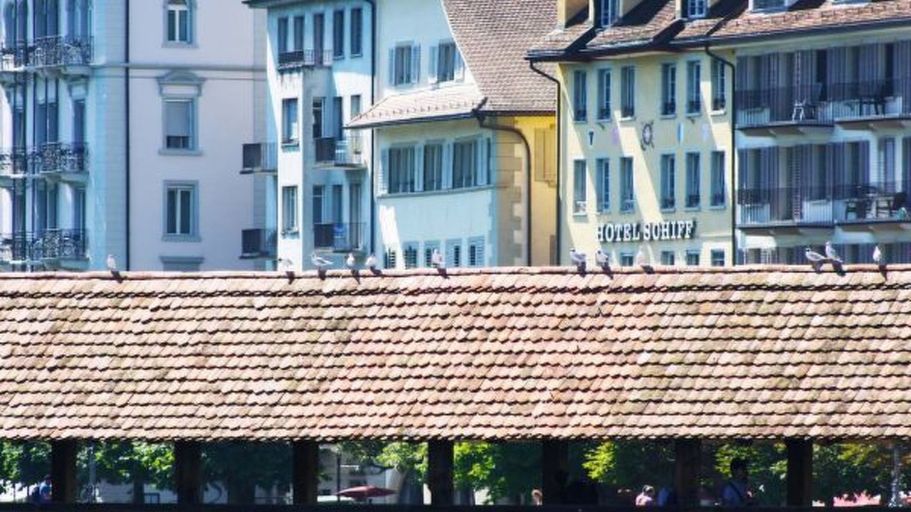 Photo of Others in Lucerne