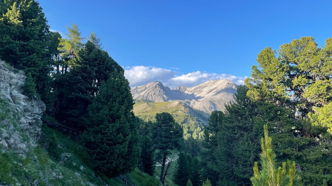 Photo of Others in Val Muestair