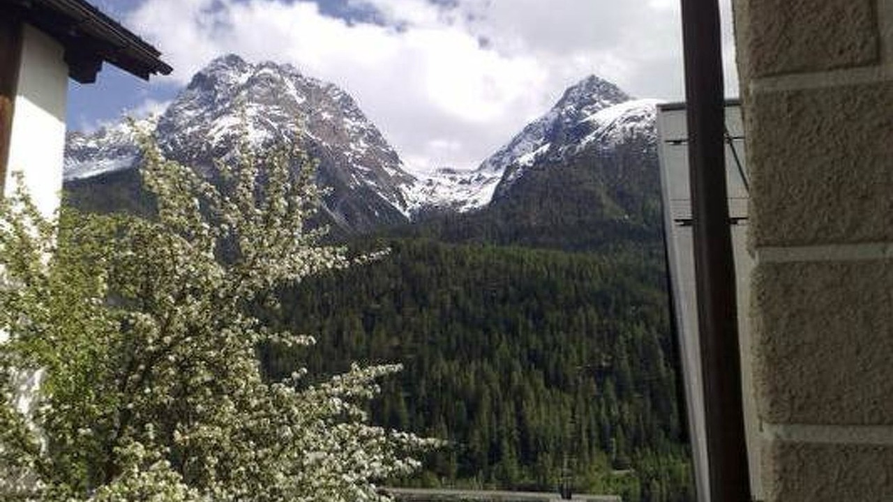 Photo of Others in Engadin Scoul