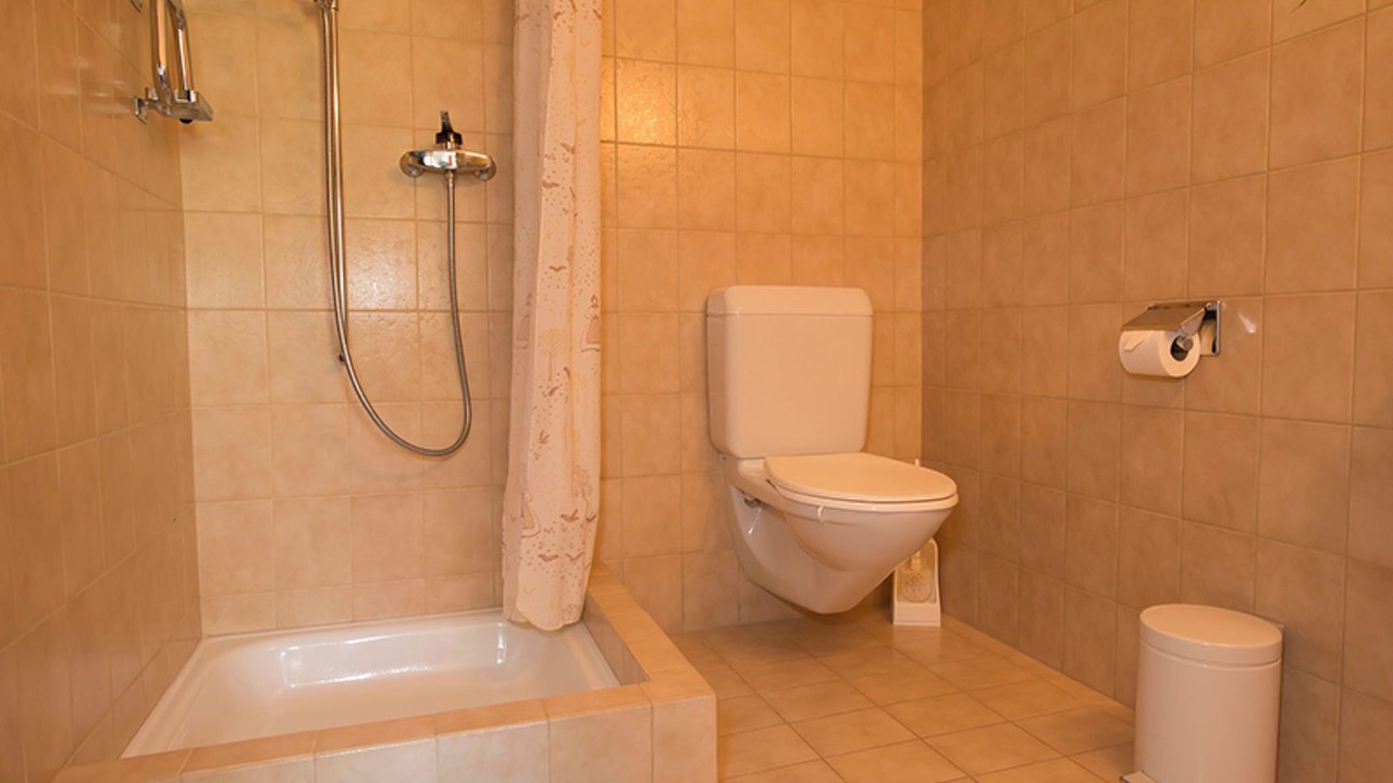 Photo of Bathroom in Engadin Scoul
