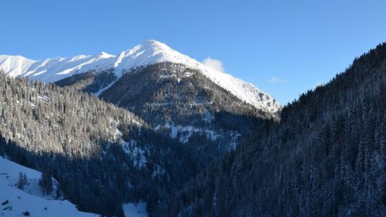 Photo of Others in Ravaisch