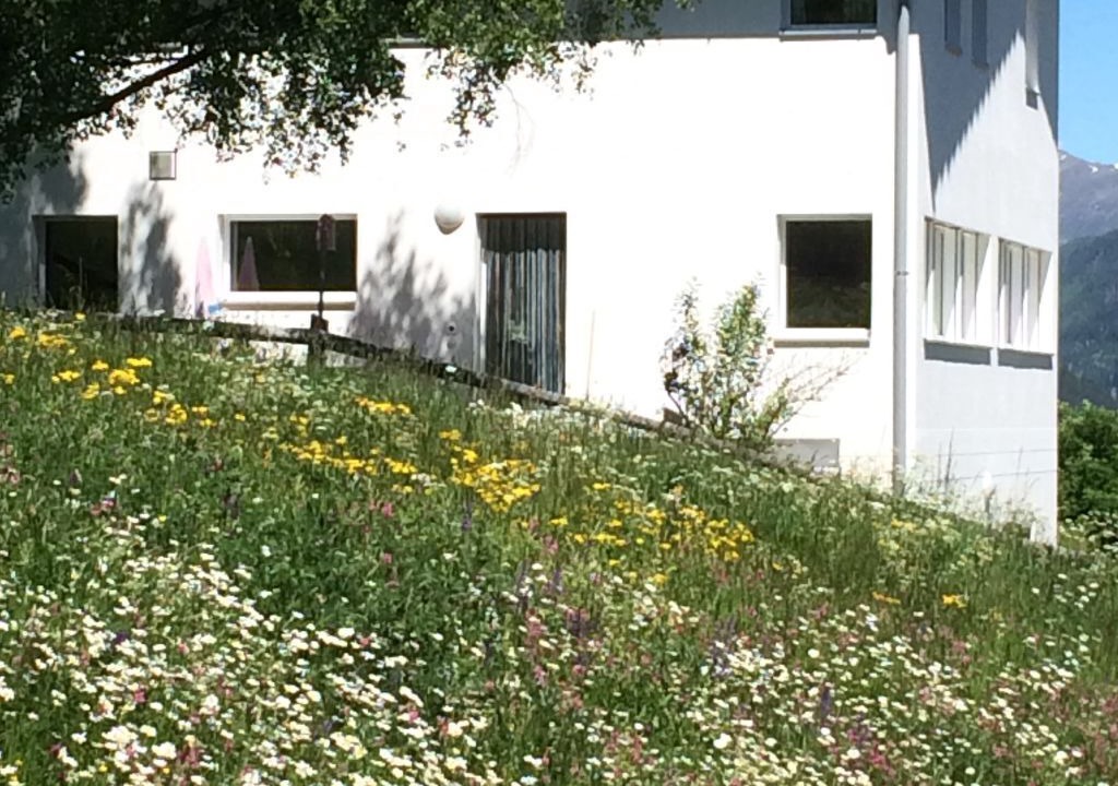 Photo of Outdoor in Sent