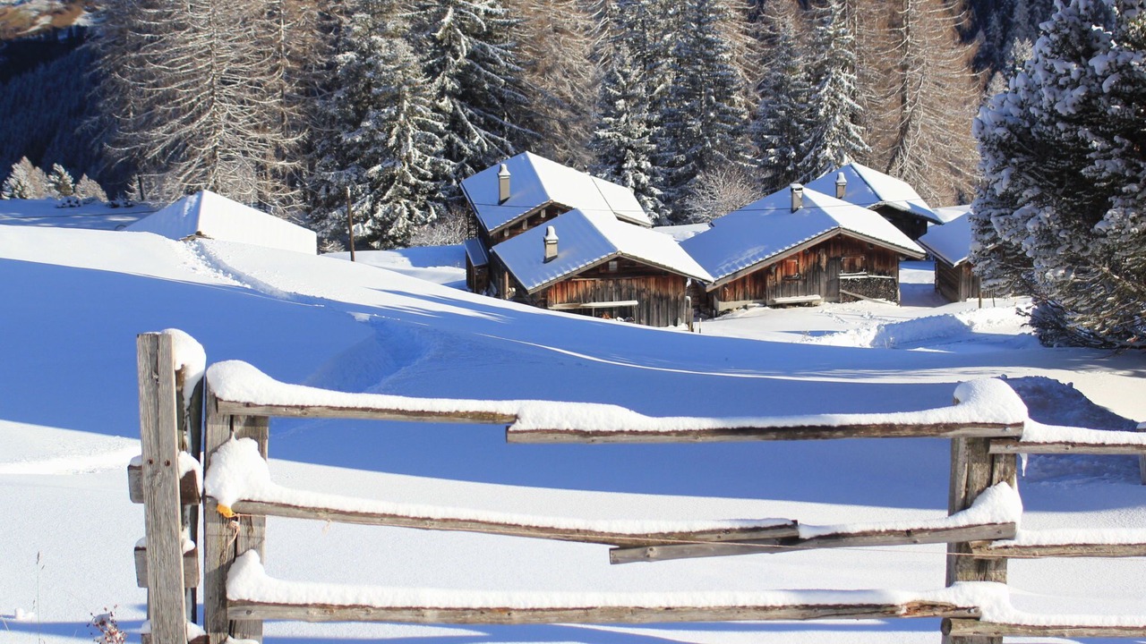 Photo of Others in Obermutten