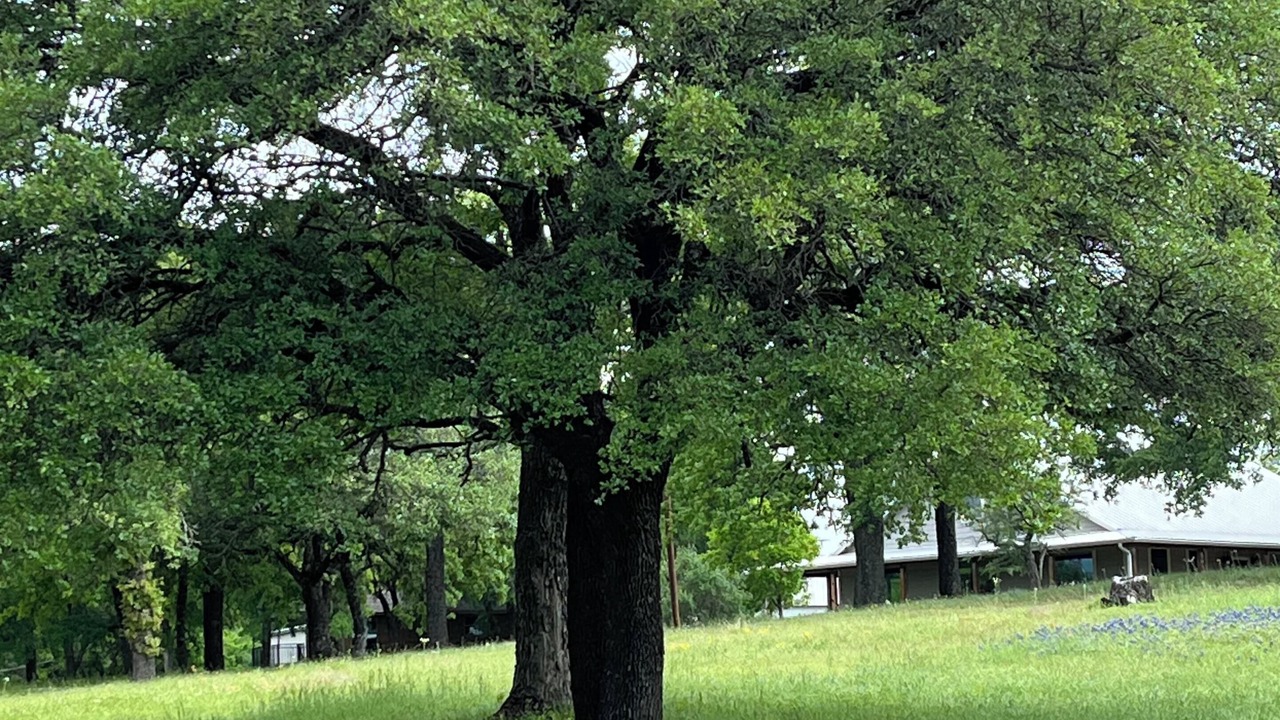 Photo of Outdoor in Fort Worth