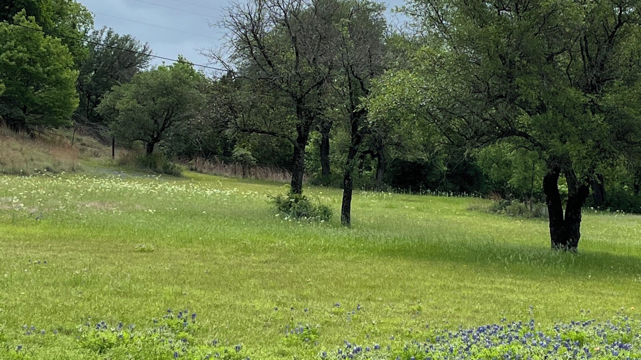 Photo of Others in Fort Worth