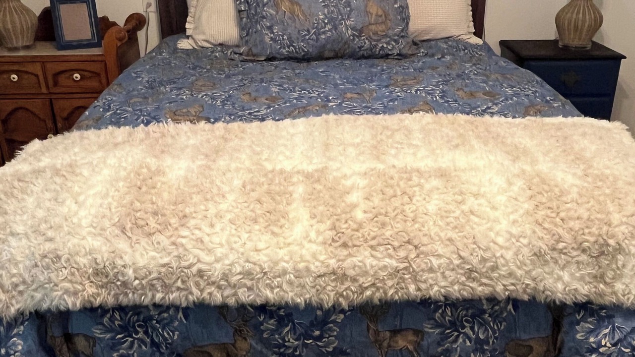 Photo of Bedroom in Fort Worth