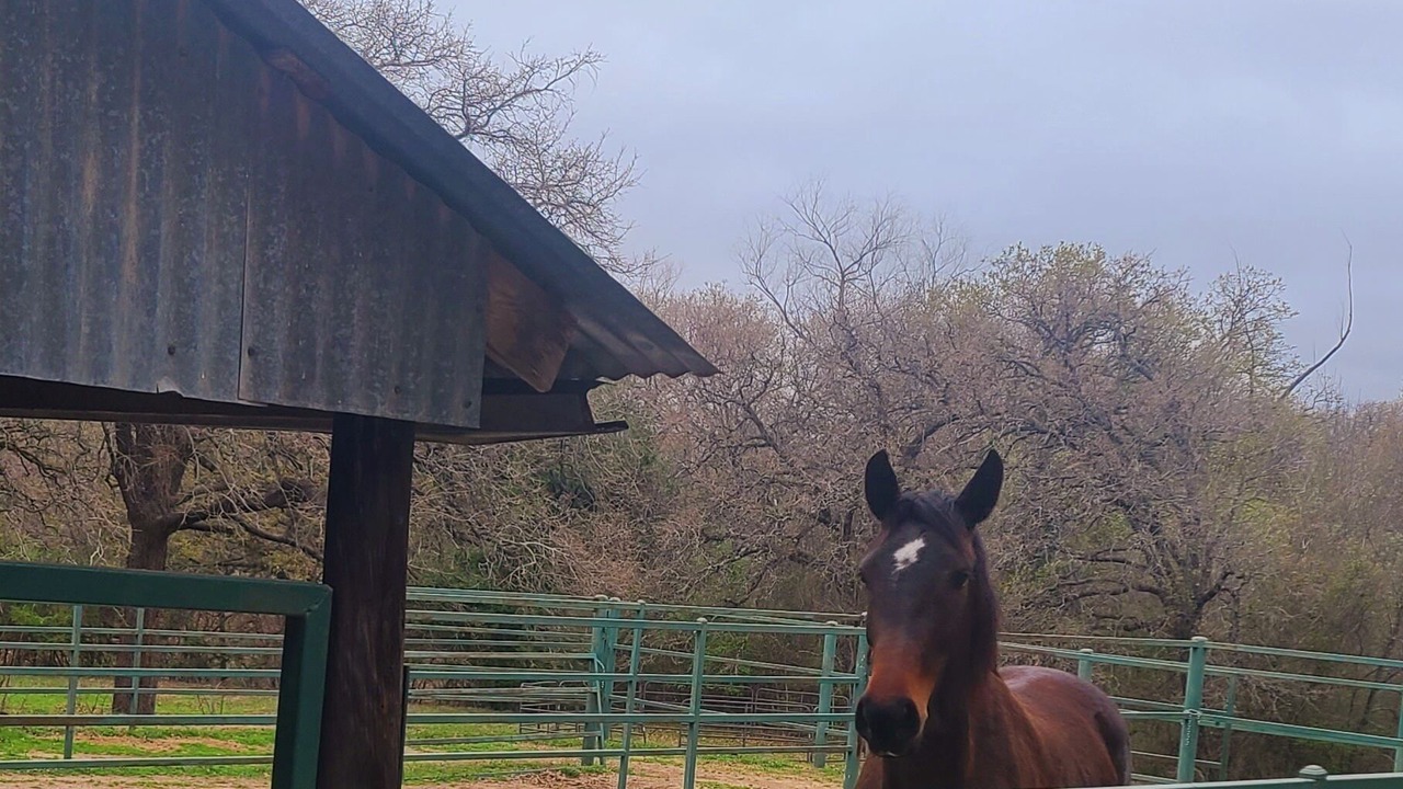Photo of Others in Fort Worth