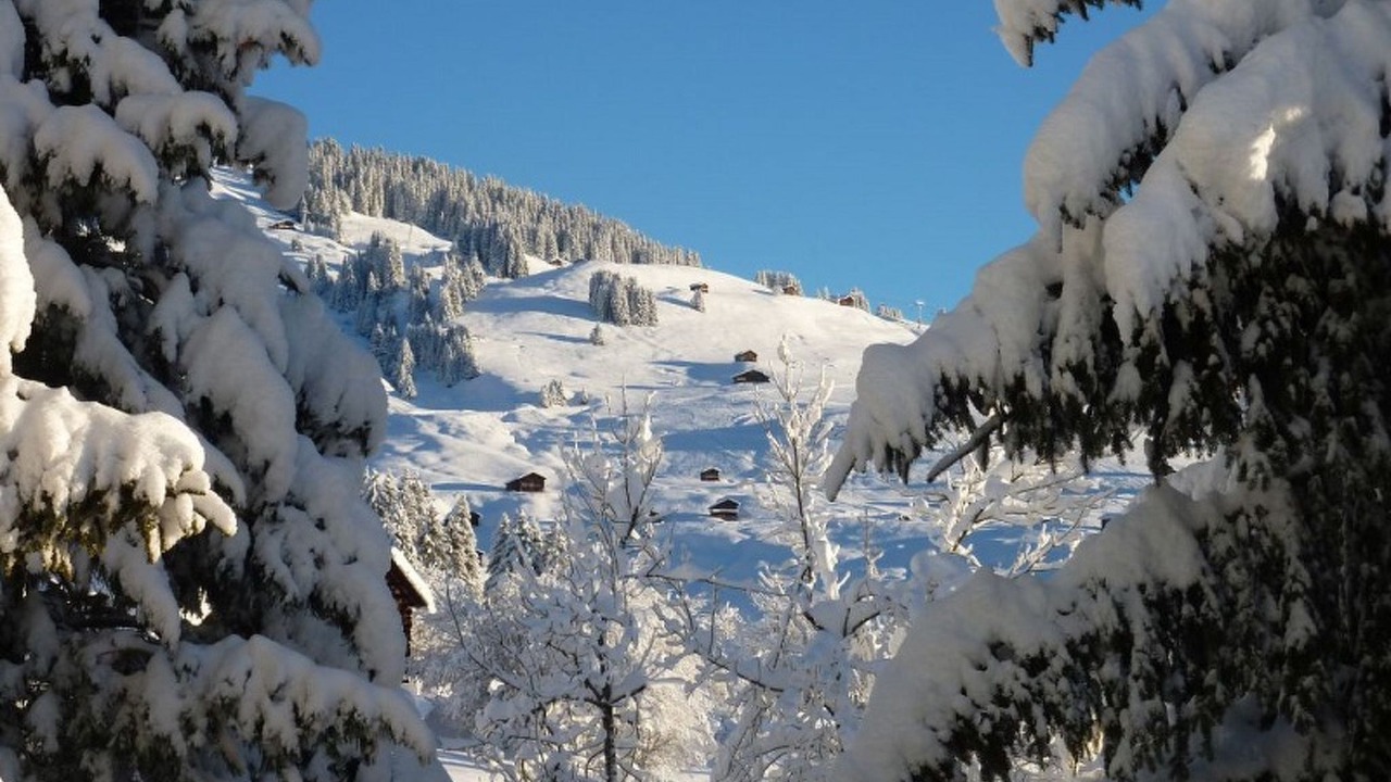 Photo of Others in Brigels