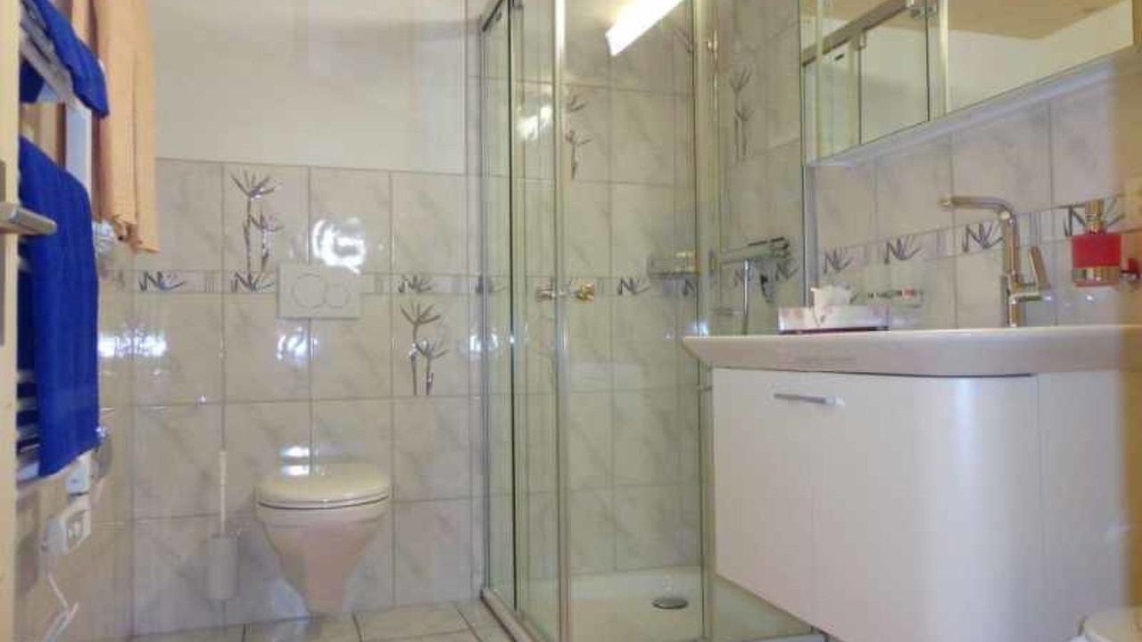 Photo of Bathroom in Safien