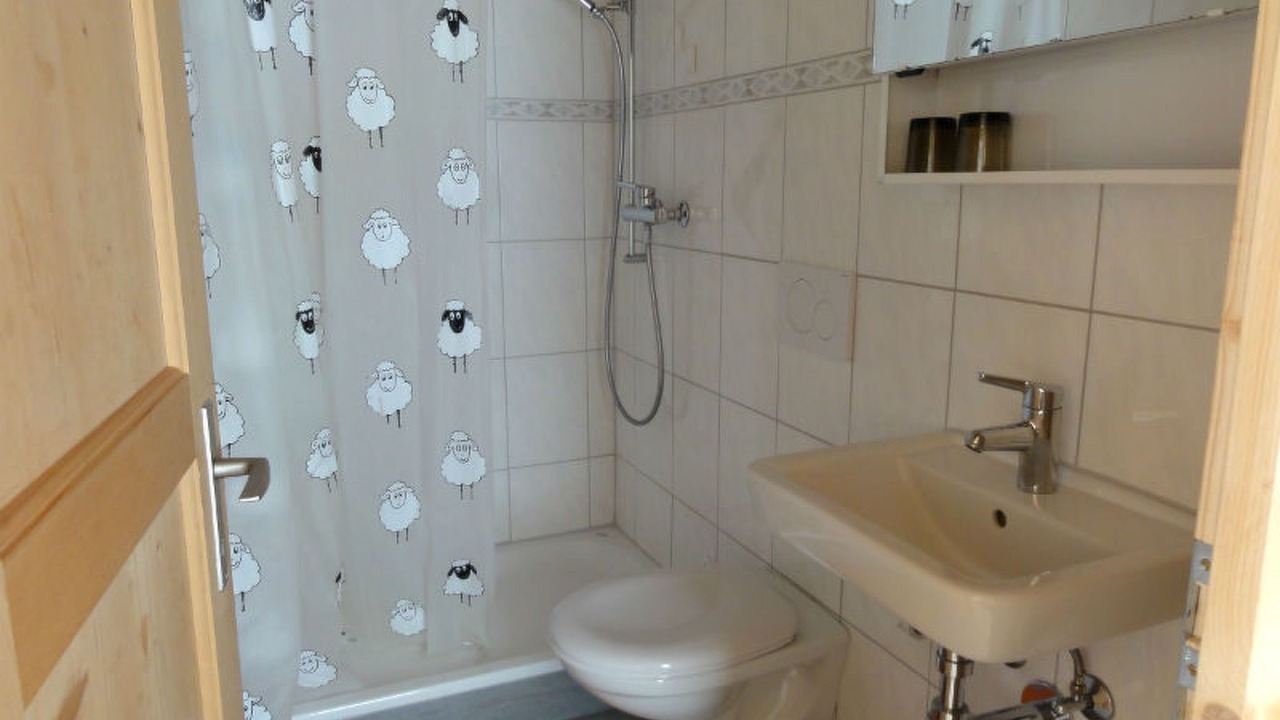 Photo of Bathroom in Safien