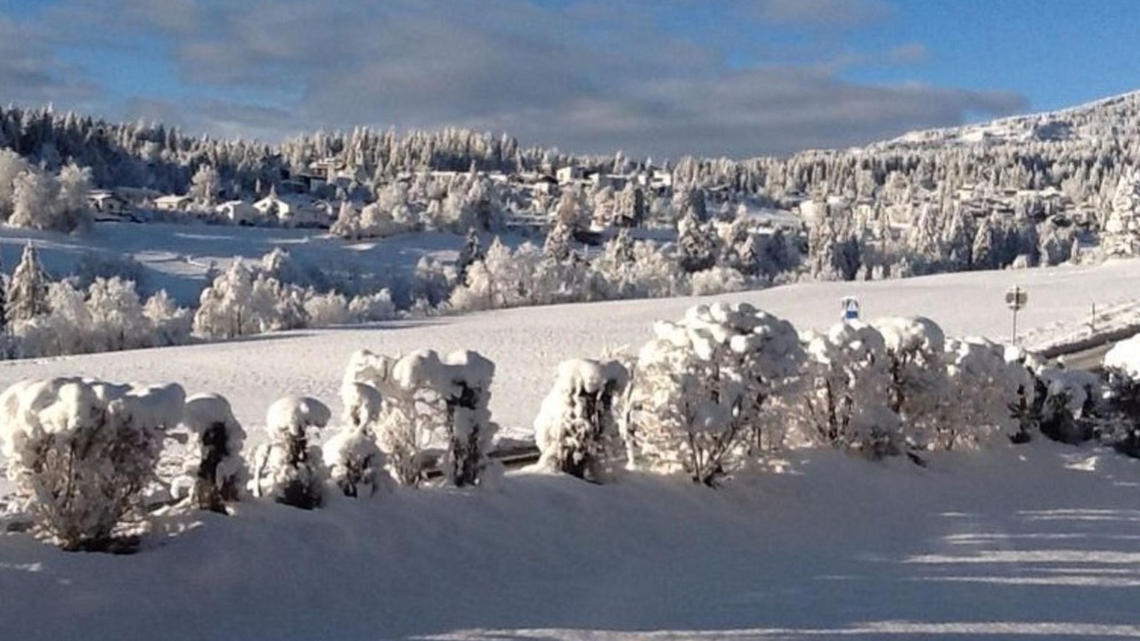 Photo of Others in Flims