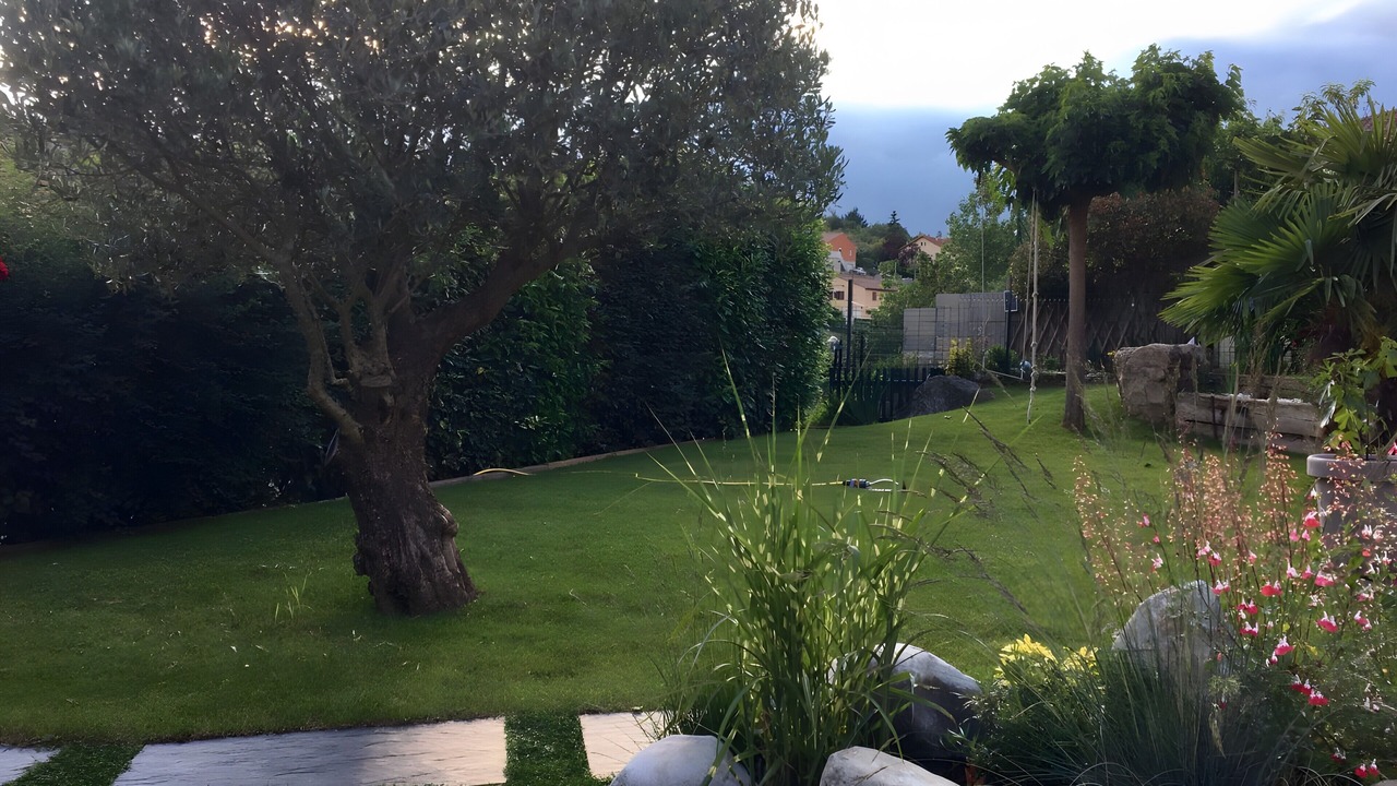 Photo of Outdoor in Millau