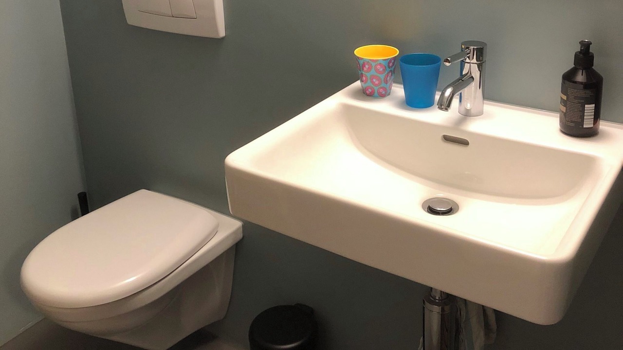 Photo of Bathroom in Fideris