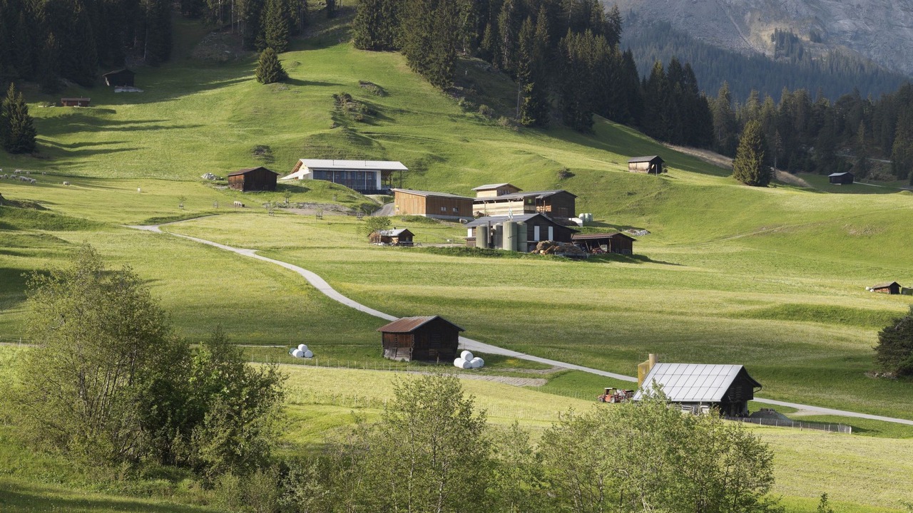 Photo of Others in Laax