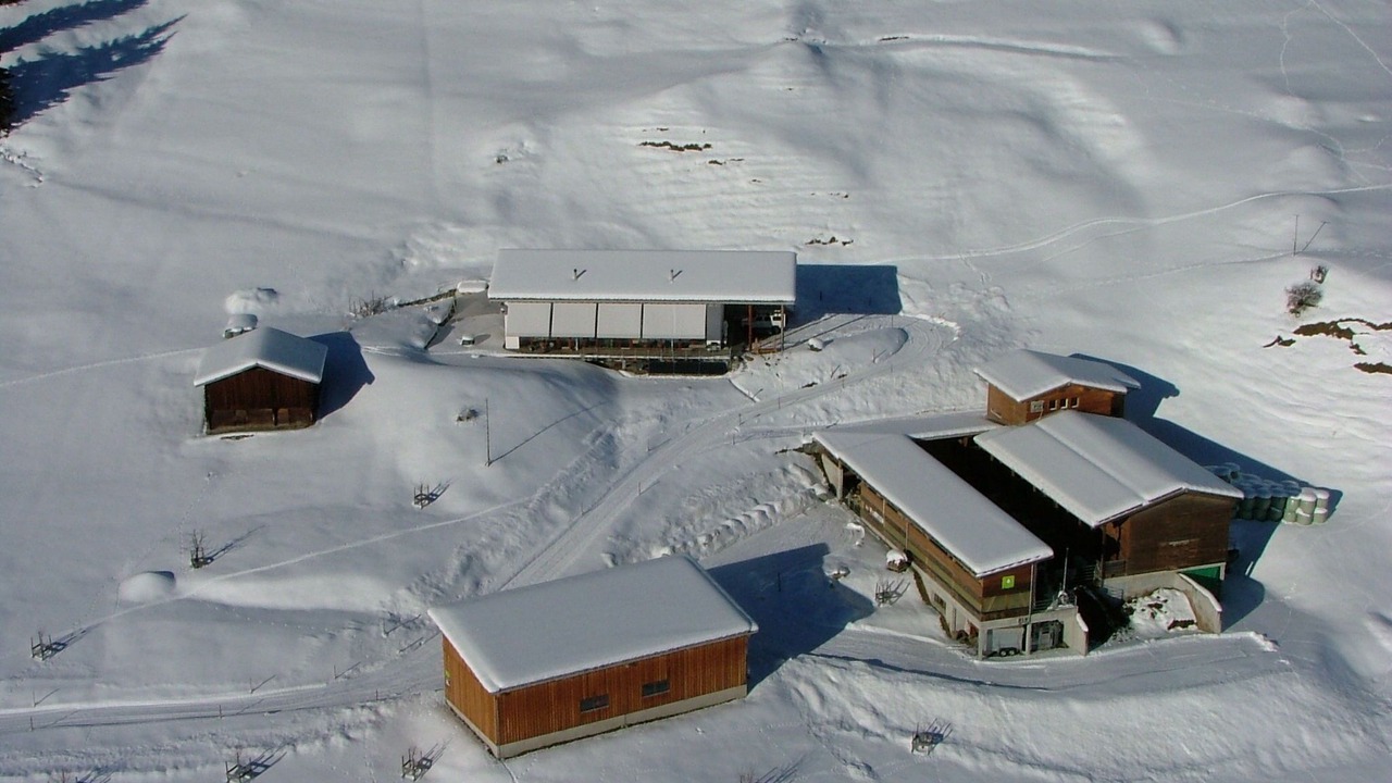 Photo of Others in Laax