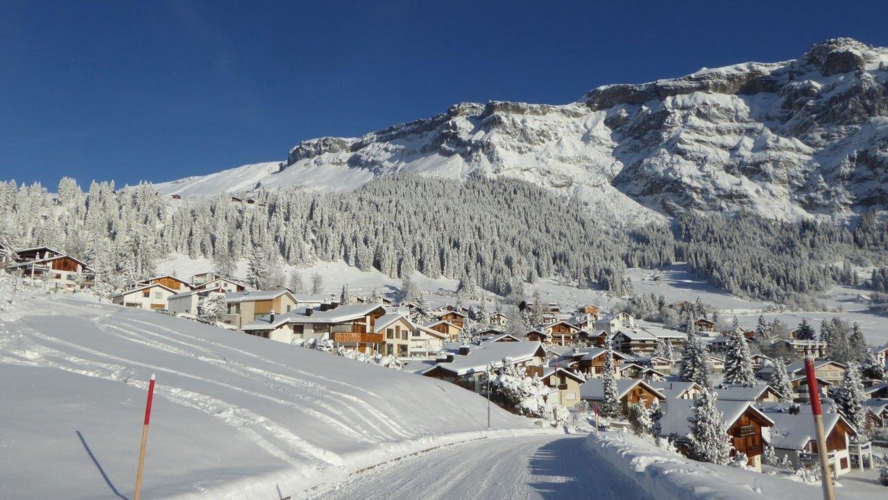Photo of Others in Flims