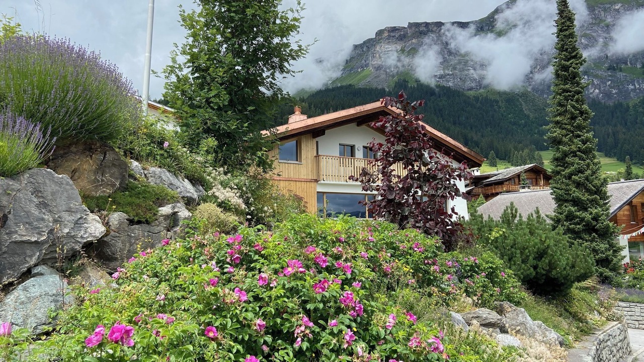 Photo of Others in Flims