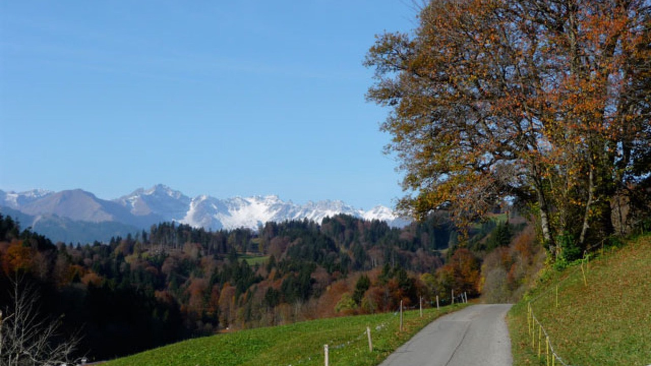 Photo of Others in Seewis im Prattigau