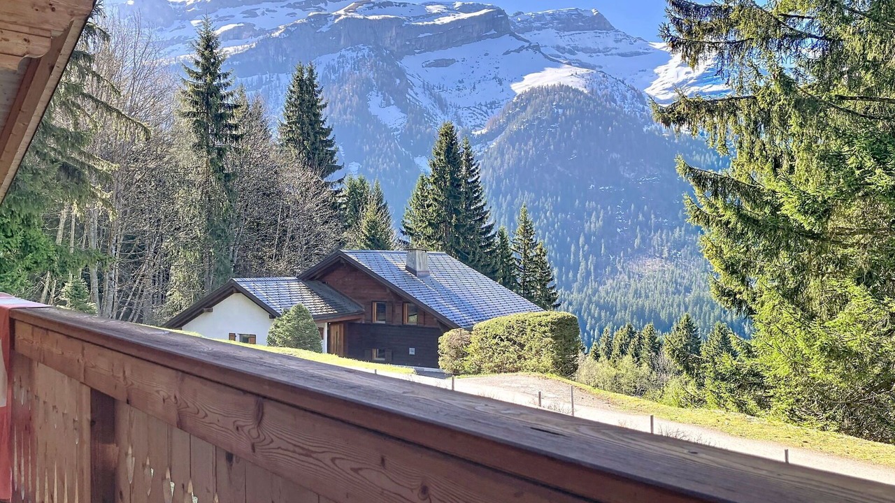 Photo of Others in Ormont-Dessus