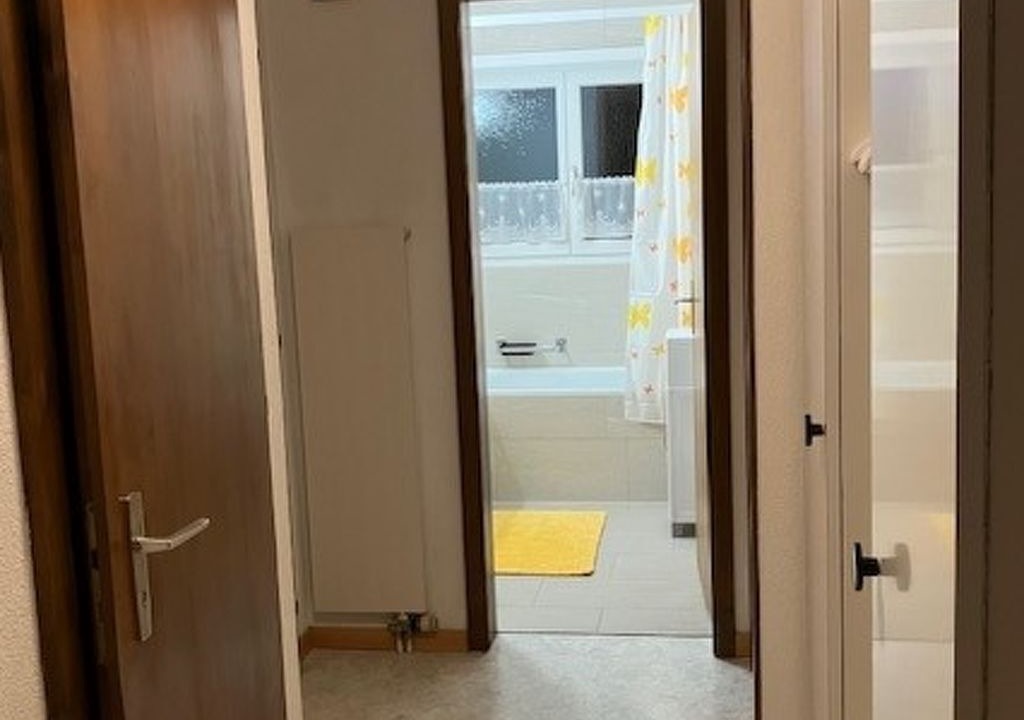 Photo of Others in Disentis