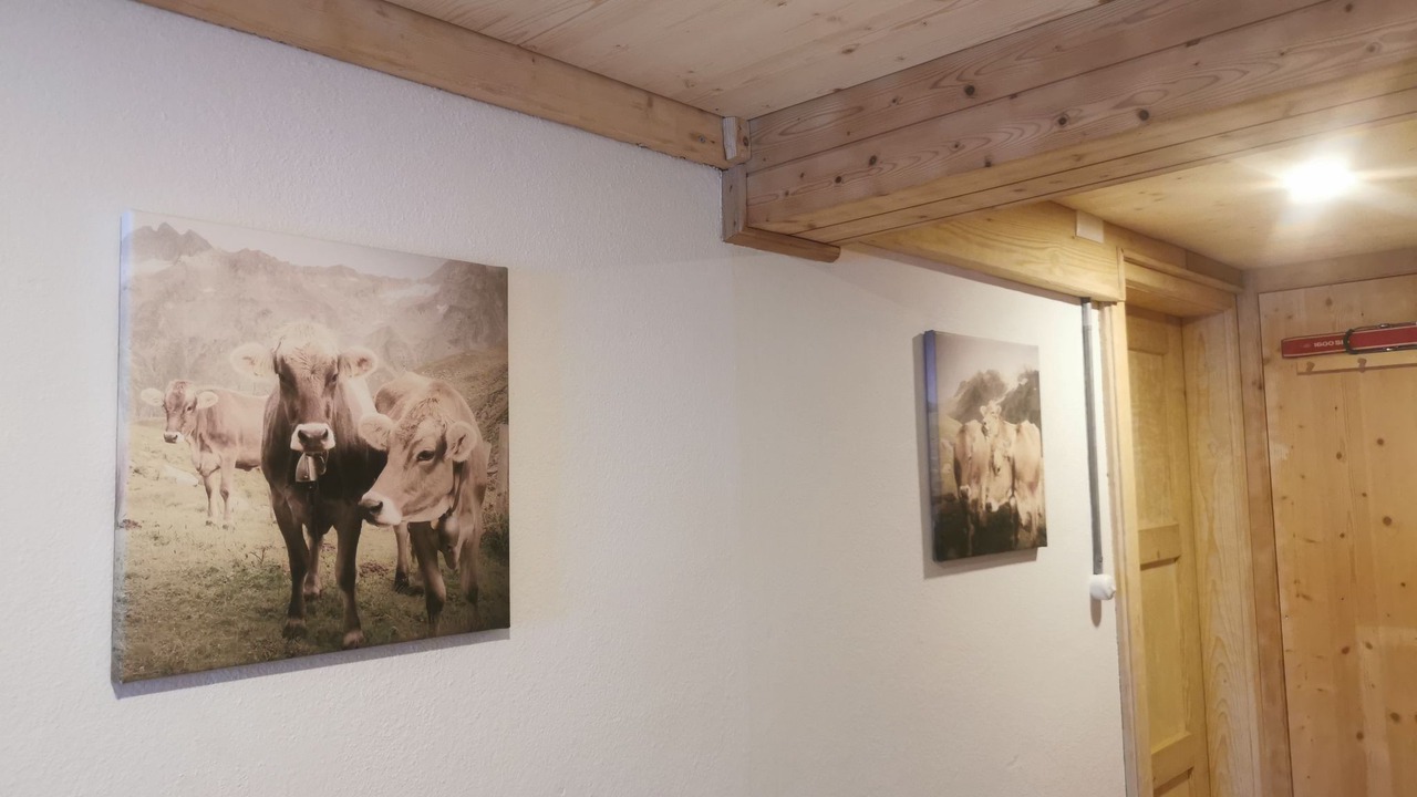 Photo of Others in Segnas