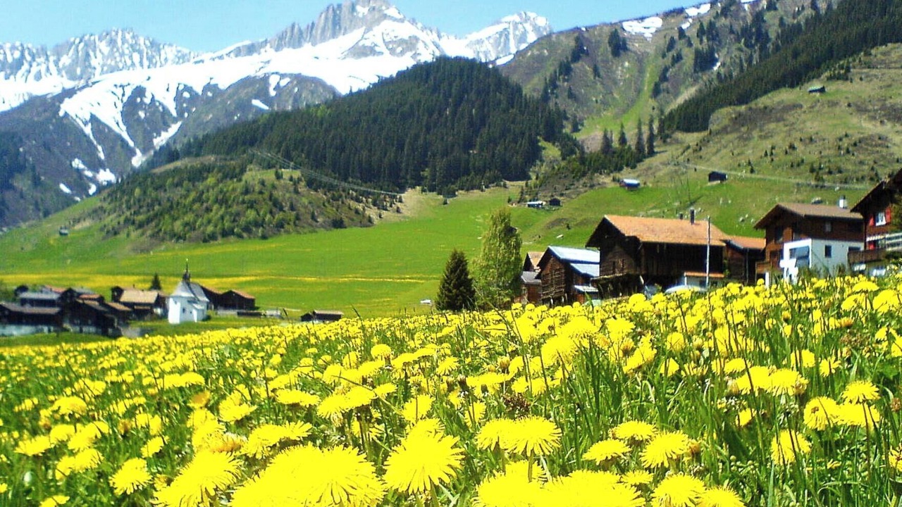 Photo of Others in Sedrun