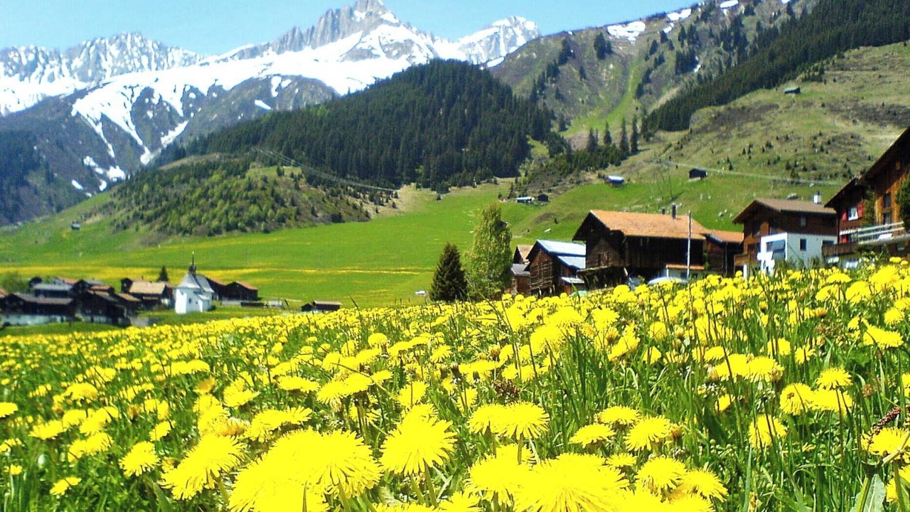 Photo of Others in Sedrun
