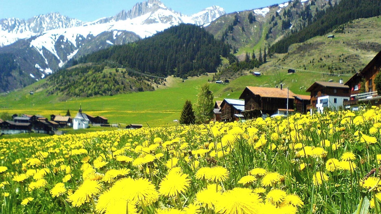 Photo of Others in Sedrun