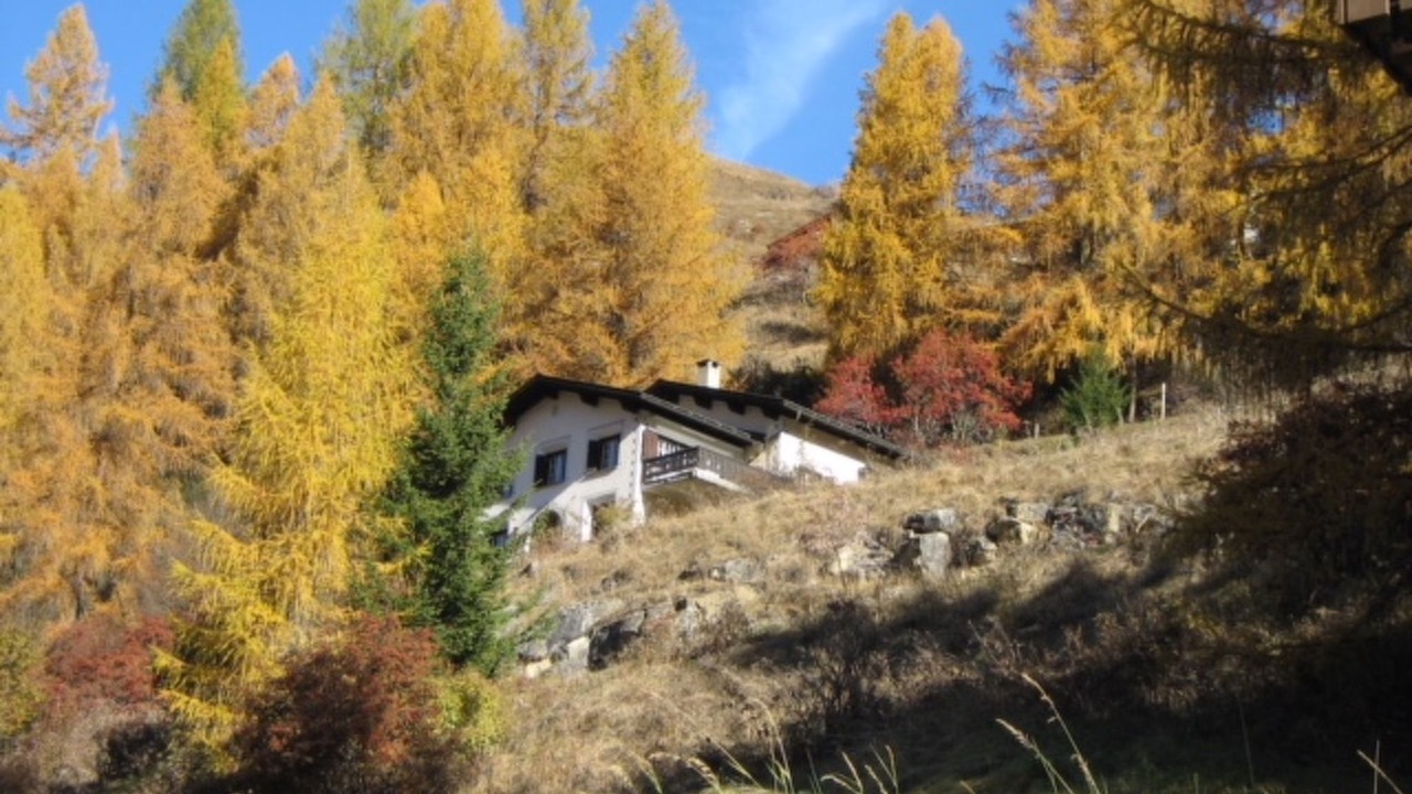 Photo of Others in Berguen