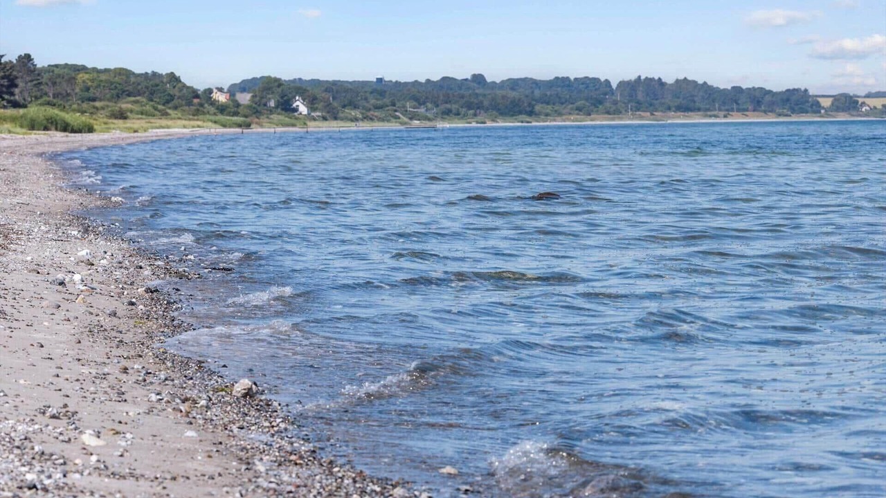 Photo of Others in Norddjurs Municipality