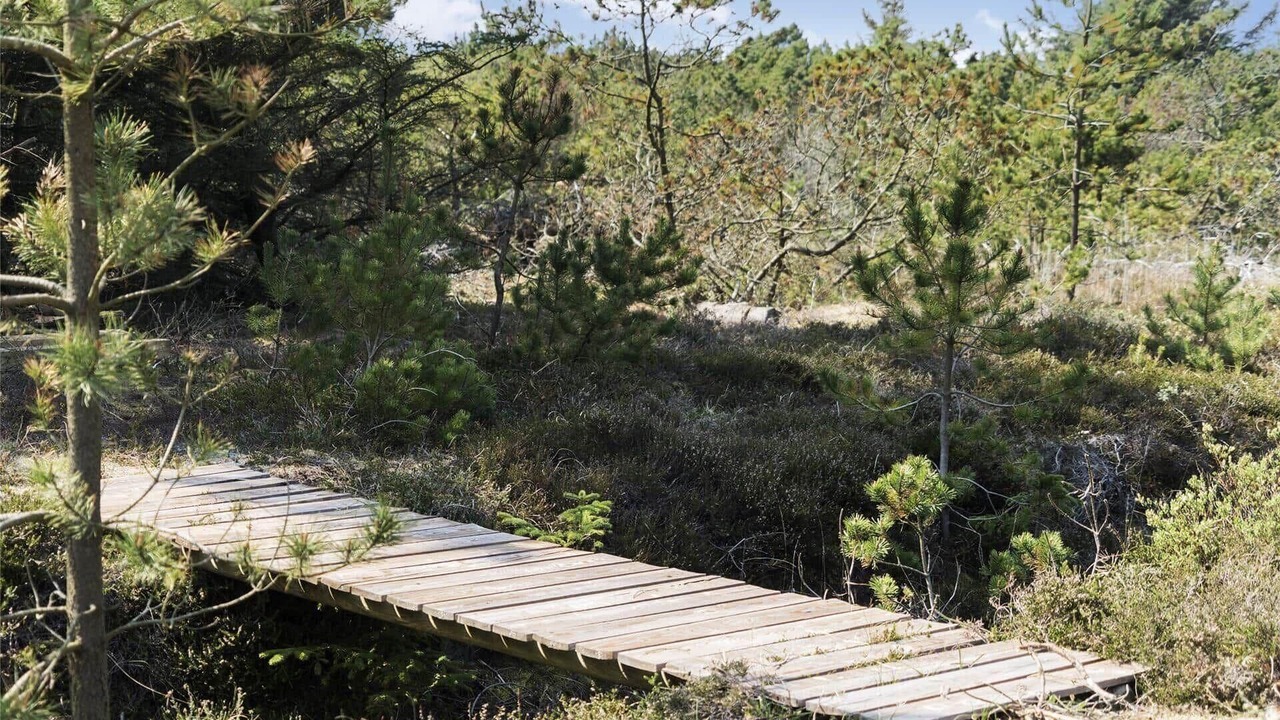 Photo of Outdoor in Fjand Badeby