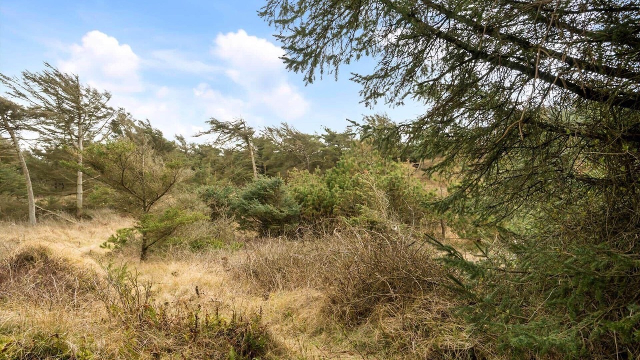 Photo of Others in Vedersø Klit
