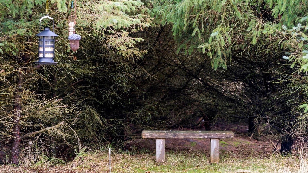 Photo of Others in Vedersø Klit