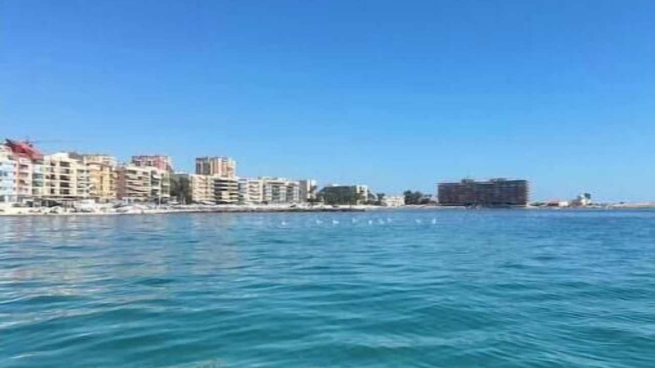 Photo of Others in Torrevieja