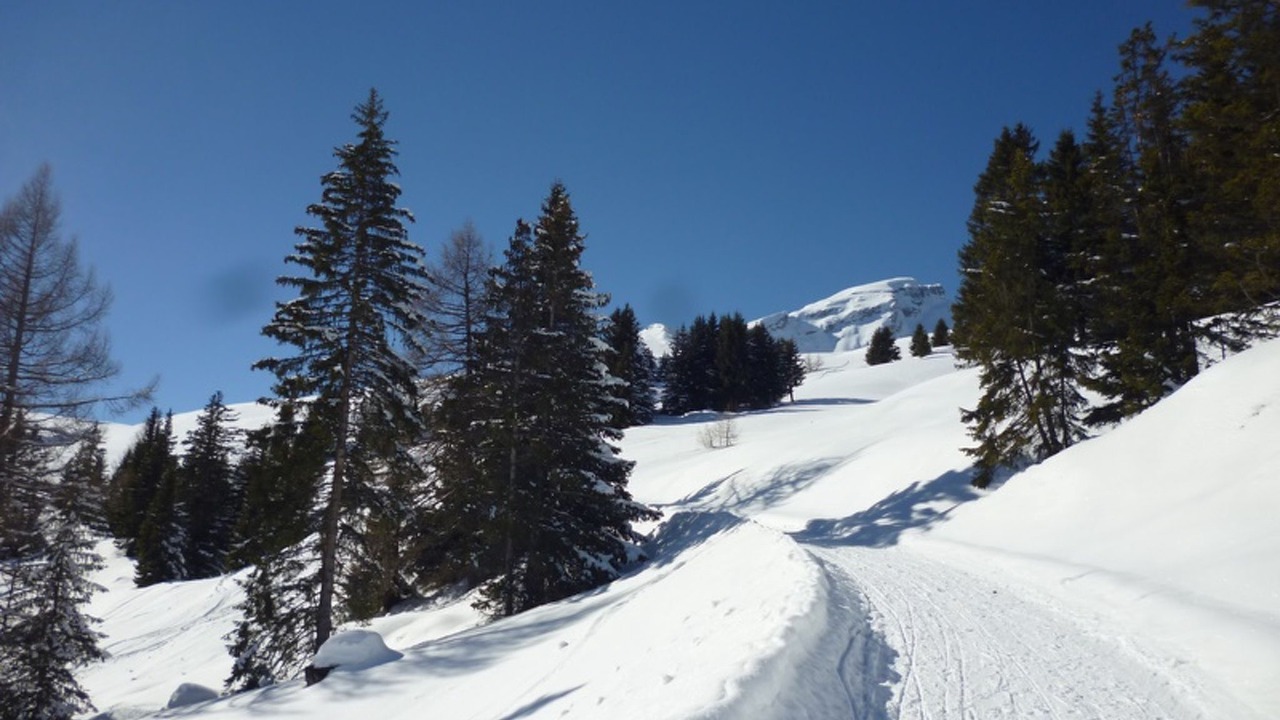 Photo of Others in Mathon