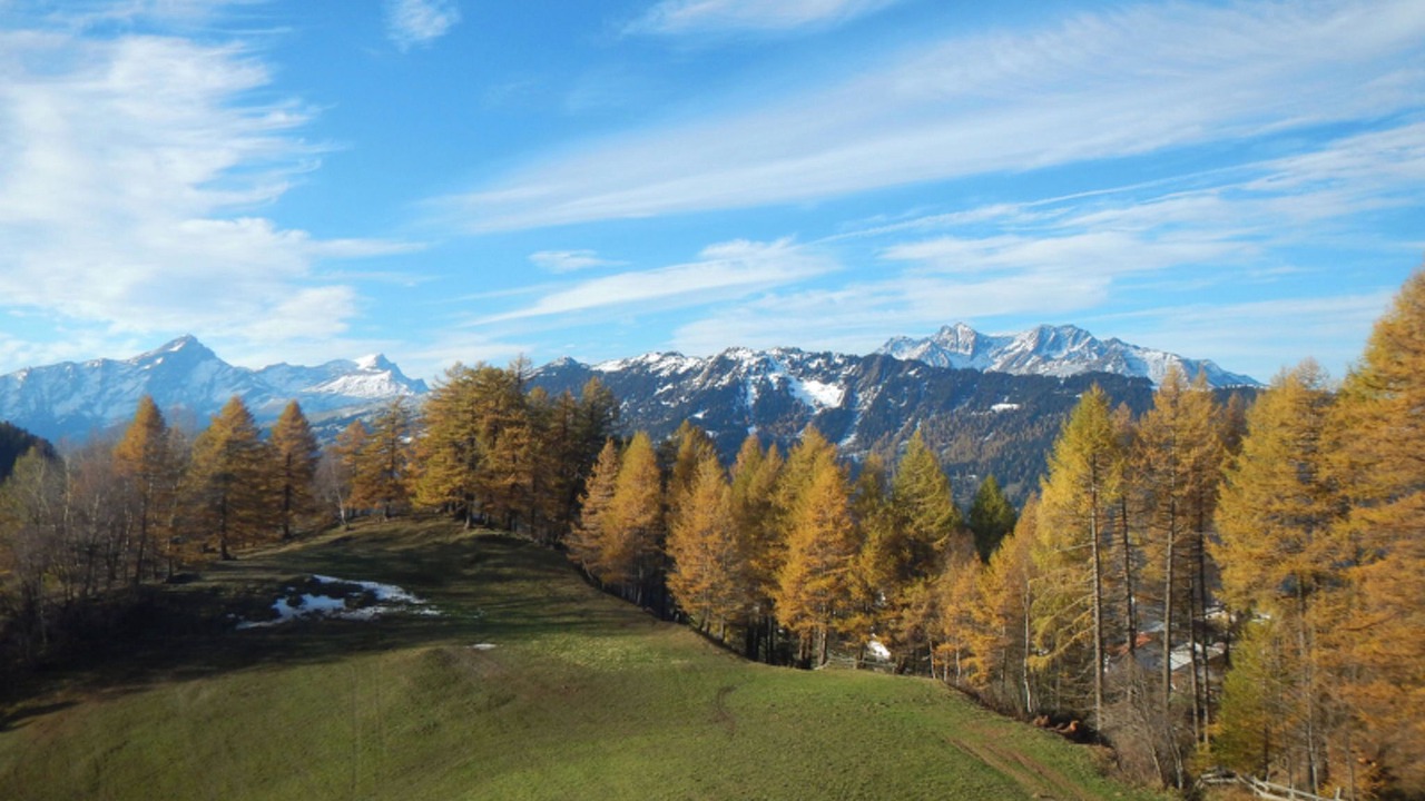 Photo of Others in Feldis/Veulden