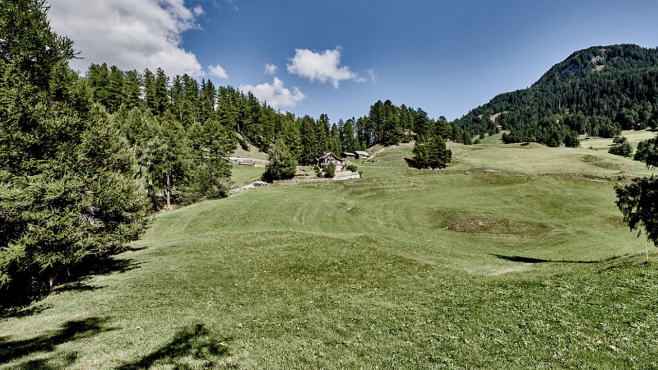 Photo of Others in Feldis/Veulden