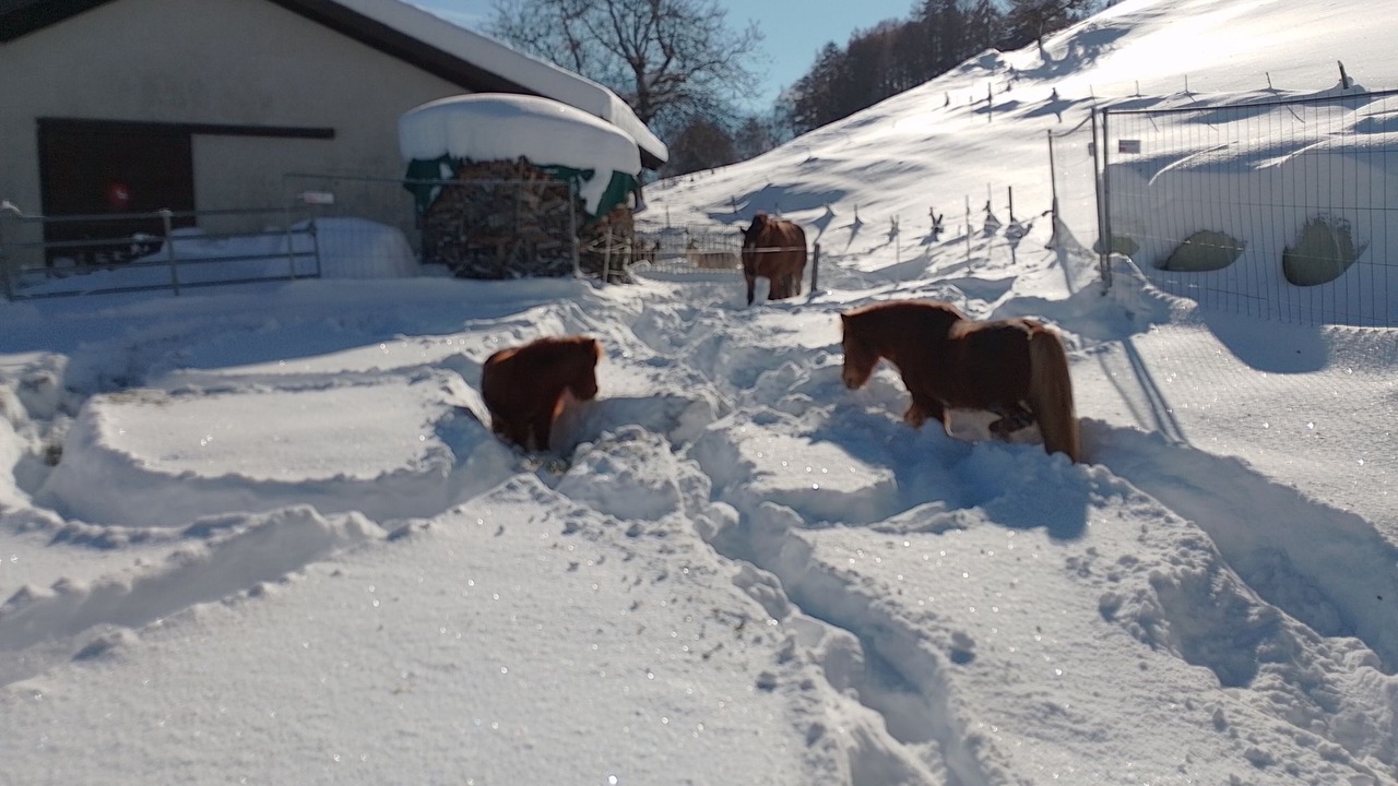Photo of Others in Praz