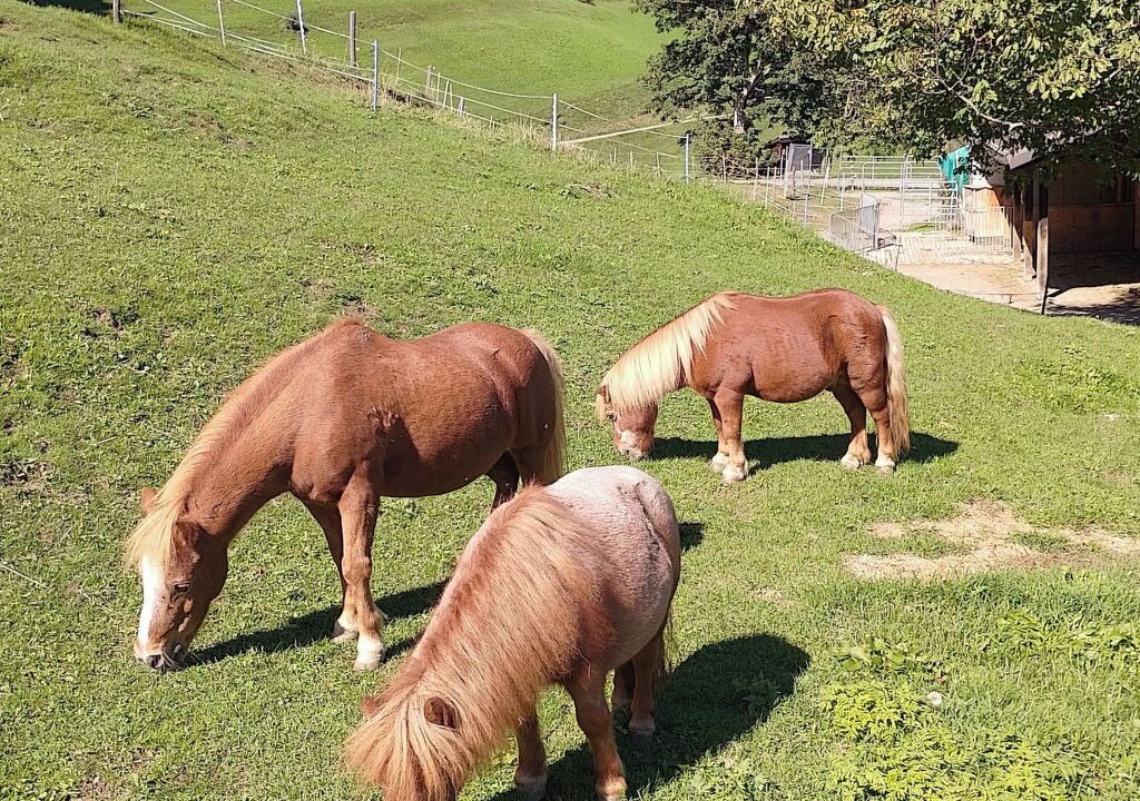 Photo of Others in Praz