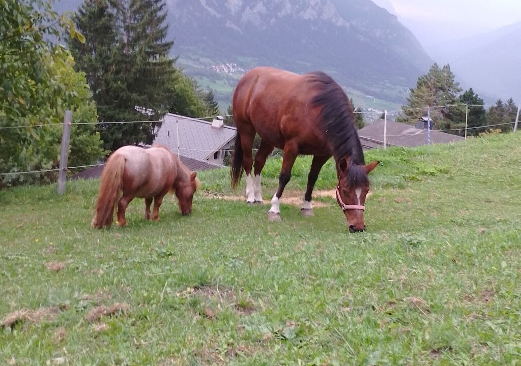 Photo of Others in Praz