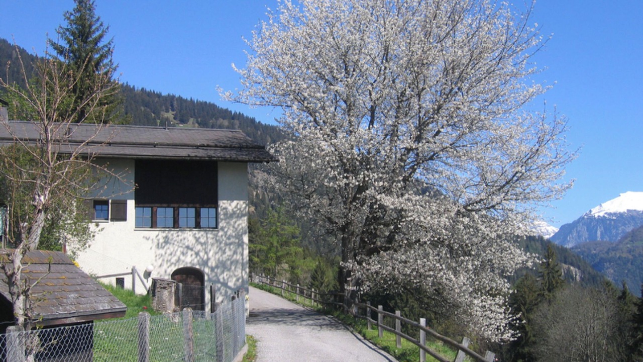 Photo of Others in Praz