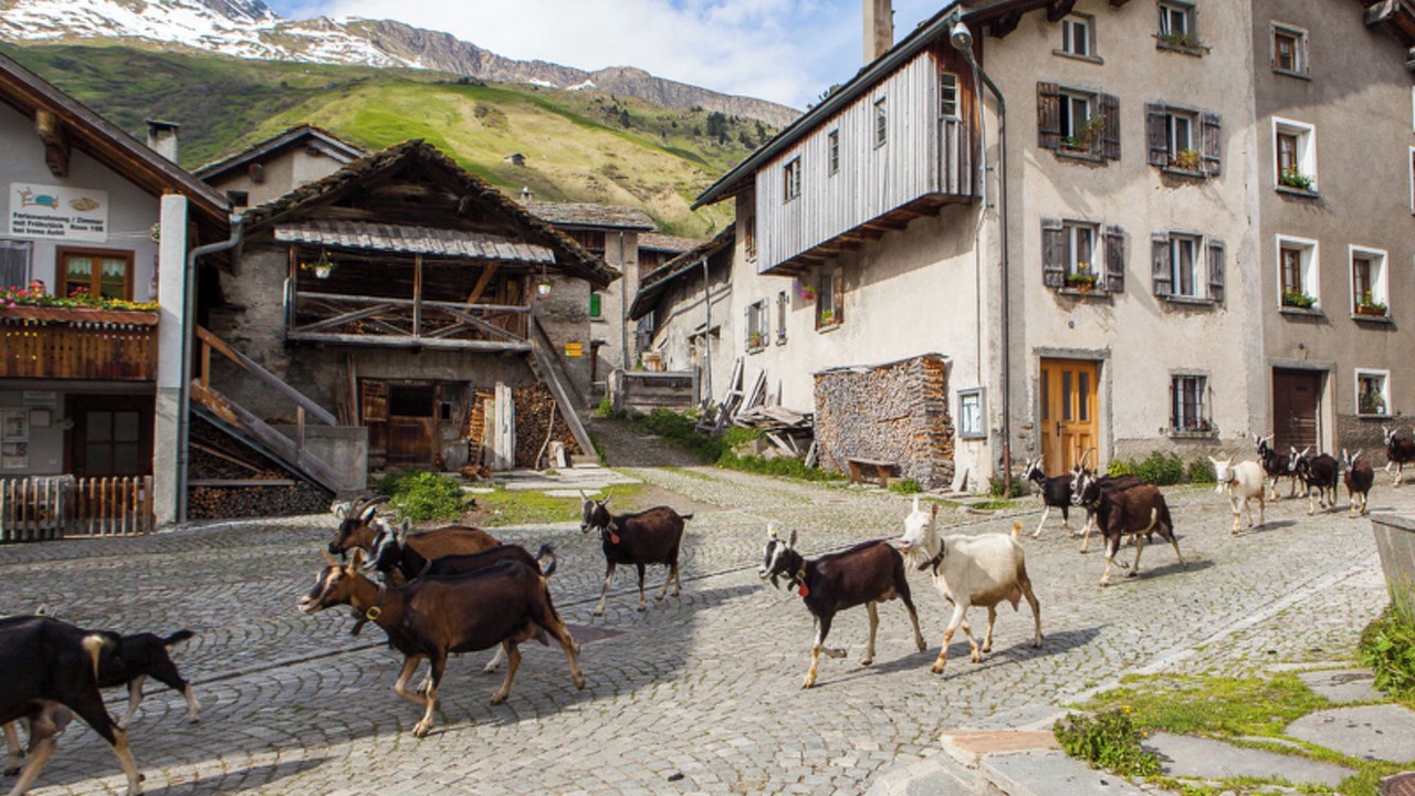 Photo of Others in Hinterrhein