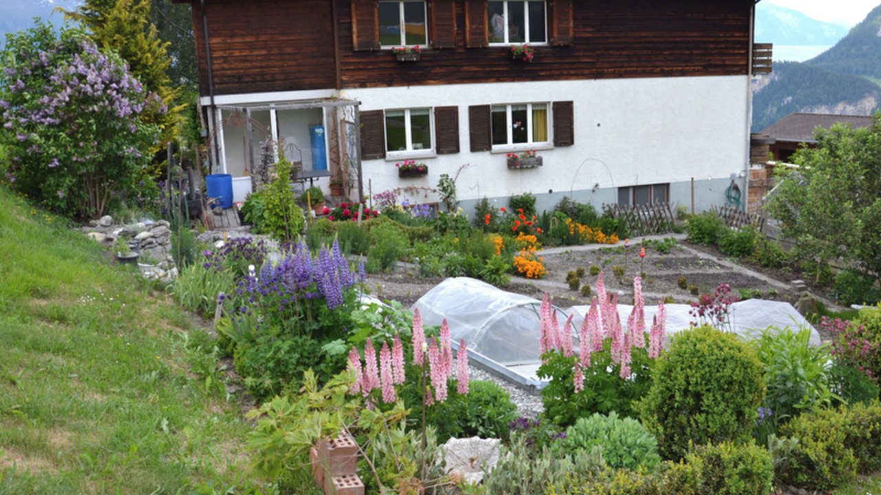 Photo of Others in Urmein