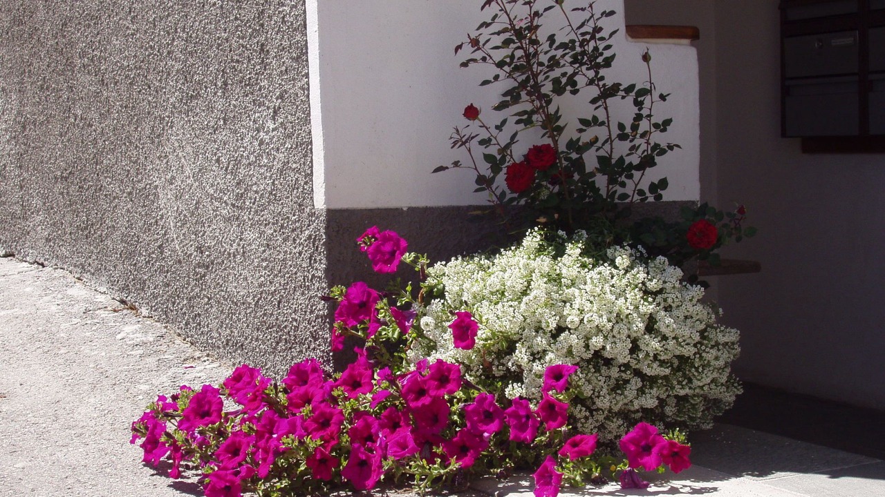 Photo of Outdoor in Sent