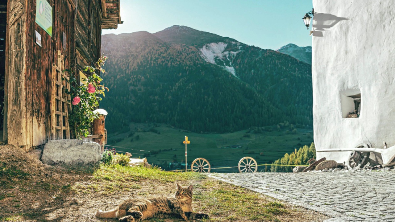 Photo of Others in Val Muestair