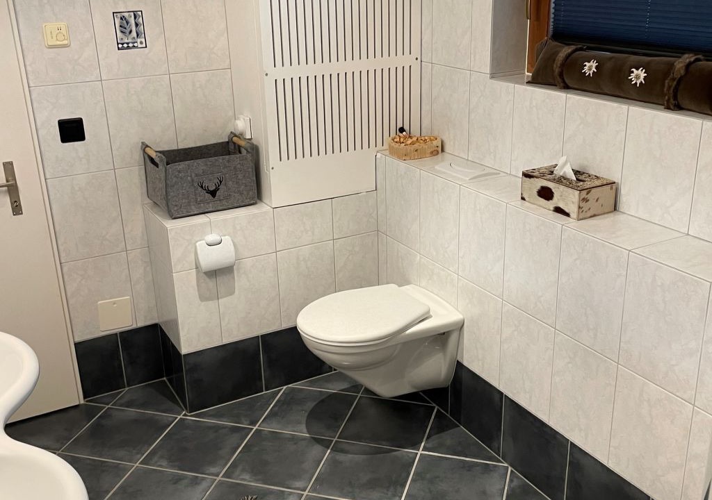 Photo of Bathroom in Engadin Scoul